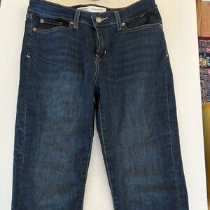 Signature Levi Strauss Mid Rise Boyfriend Jeans size 8 (29W)